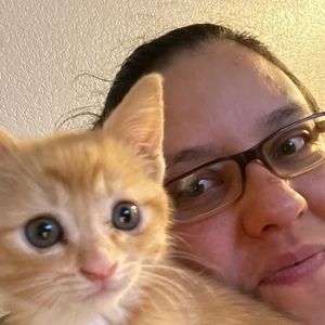 Meet your Posher, Kristalina